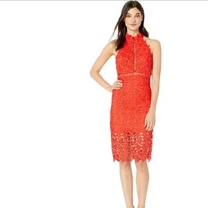 NWT Bardot Gemma Halter Dress, US 8- SOLD OUT!